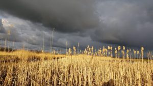 kwalitatieve verplichting