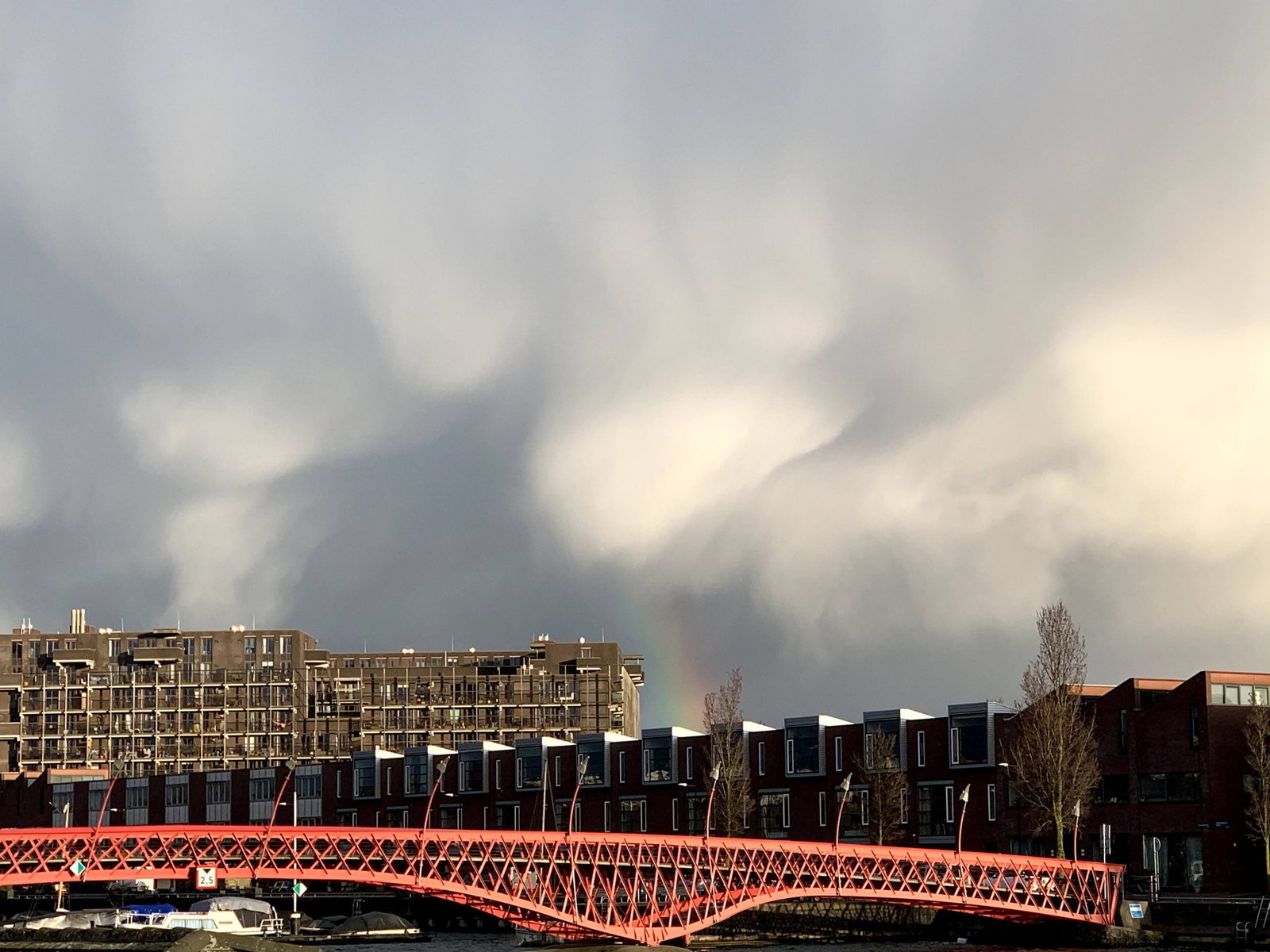overhangende takken bomen burenrecht